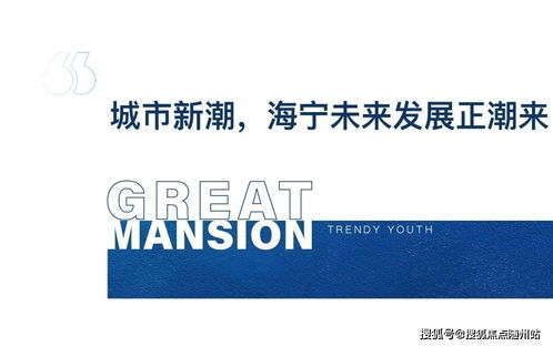 海寧2021網(wǎng)絡(luò)安全事件 官方緊急響應(yīng)與軟件開發(fā)新動(dòng)向